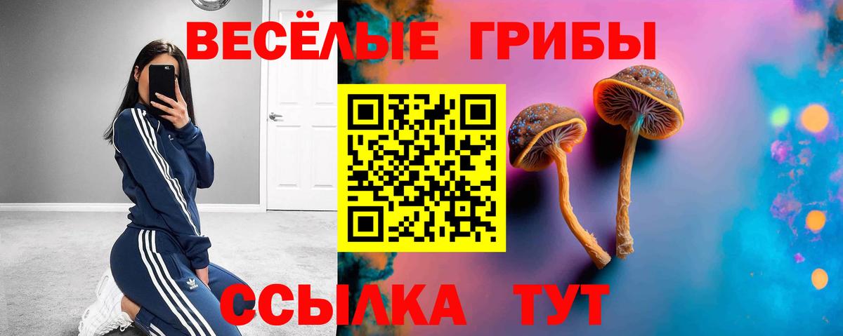 Галлюциногенные грибы GOLDEN TEACHER  Вход с VPN  Серпухов  Псилоцибиновые грибы GOLDEN TEACHER 